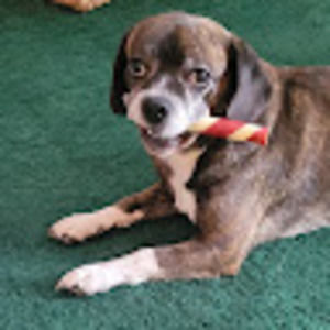 Meet your Posher, Georgette